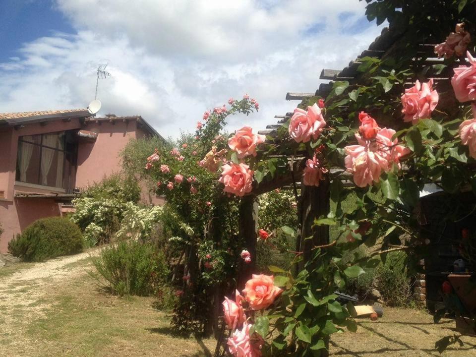 La Chiesuola Acomodação com café da manhã Bagnaia  Exterior foto