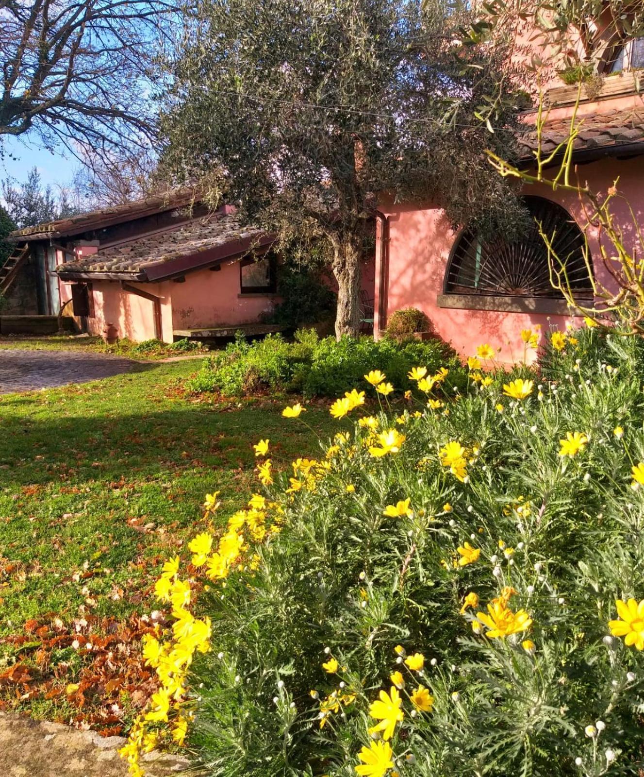 La Chiesuola Acomodação com café da manhã Bagnaia  Exterior foto